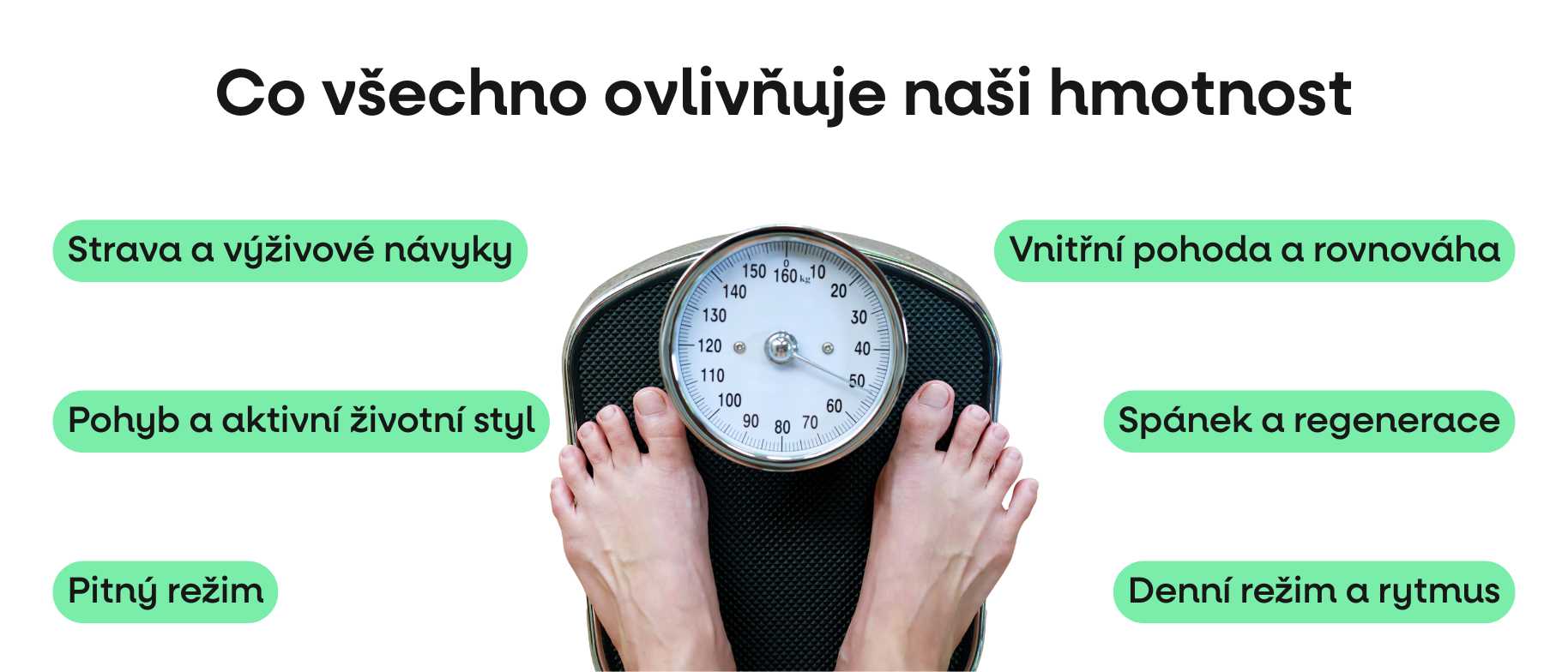 co vsechno ovlivnuje hmotnost